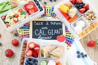 3 Easy Healthy School Lunch Ideas - Sunkissed Kitchen