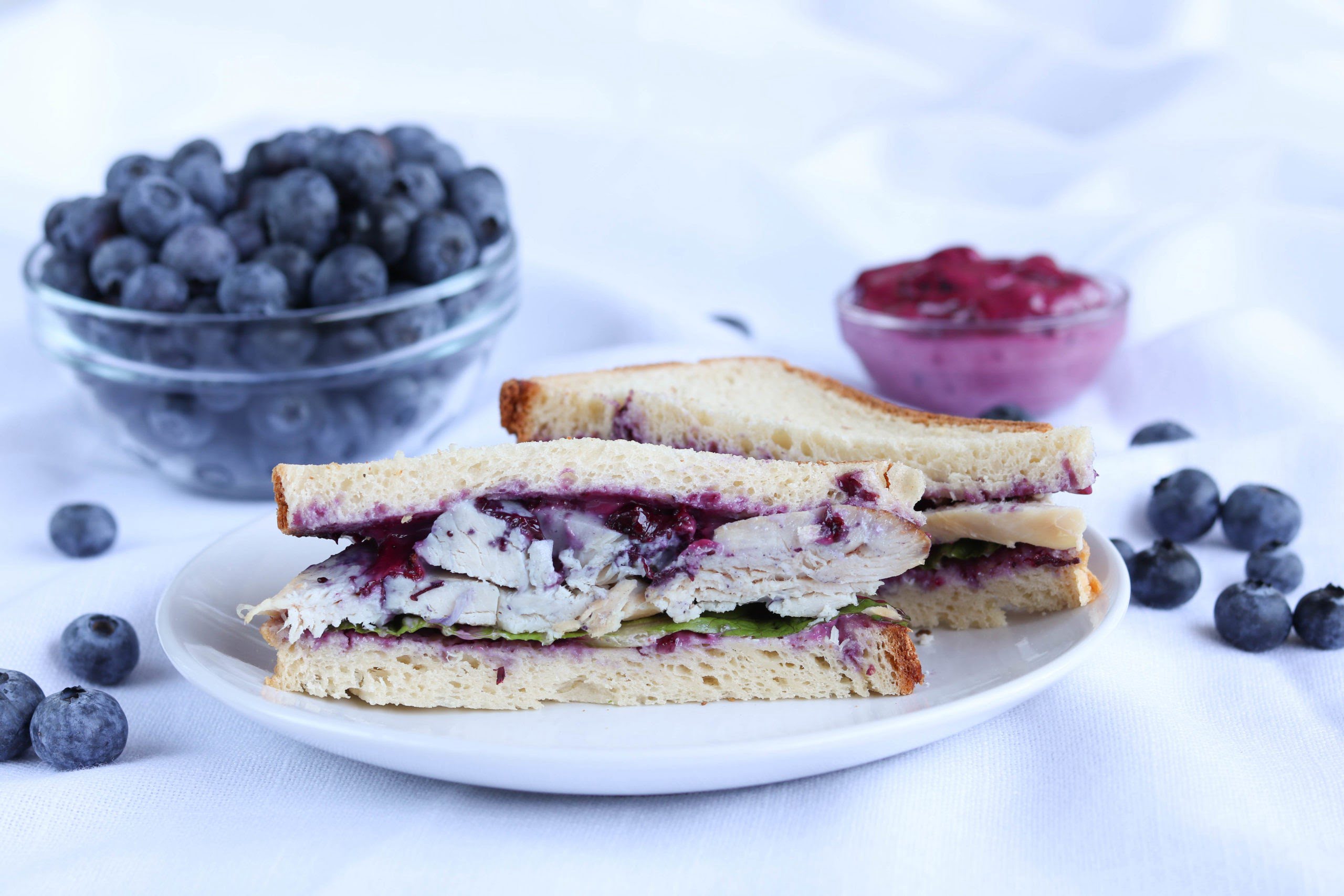Turkey Sandwich with Blueberry Mayo